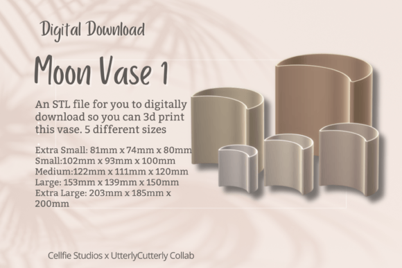 Moon Vase 1 STL File: A Minimalist 3D Print for Your Home